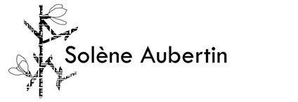 Solène Aubertin – Illustratrice